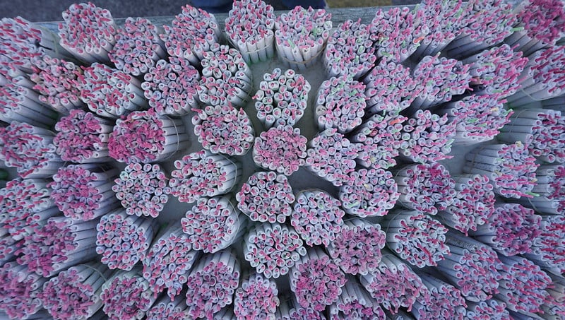 Decomisan siete kilogramos de pirotecnia en Tulum